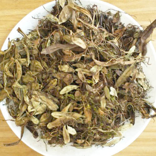 Yue Ju (Lingonberry) as TCM ingredient