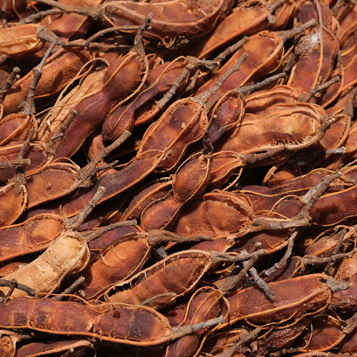 Suan Jiao (Tamarind fruits) as TCM ingredient