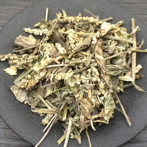 Che Qian Cao (Plantain grass) as TCM ingredient