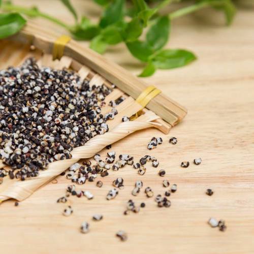 Wang Bu Liu Xing (Vaccaria seeds) as TCM ingredient