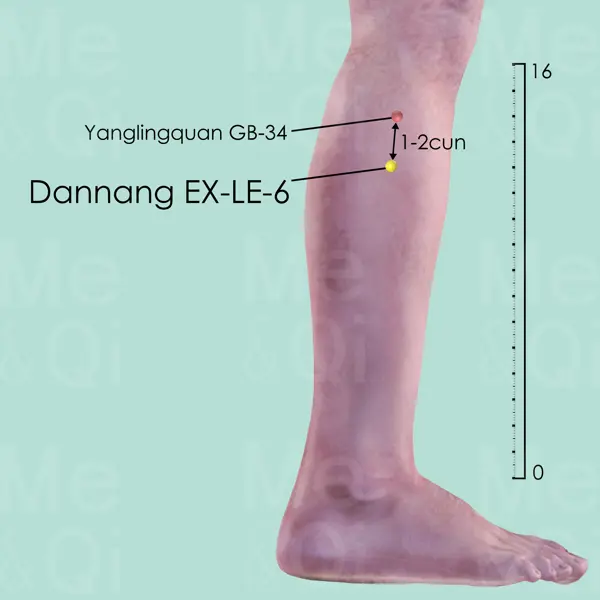 Dannang EX-LE-6 location