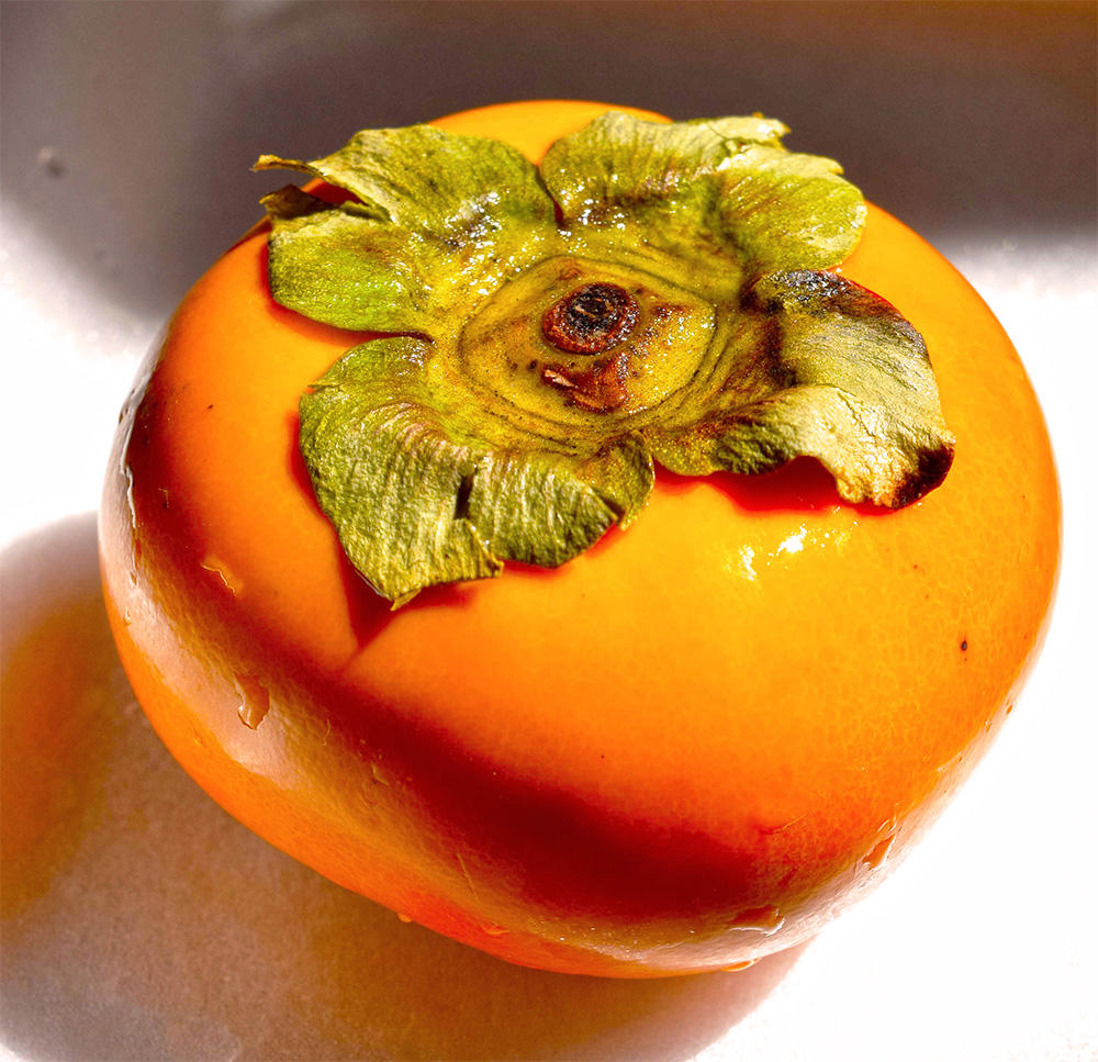 Shi Di (Persimmon calyxes) plant