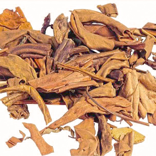 Shi Wei (Pyrrosia leaves) as TCM ingredient