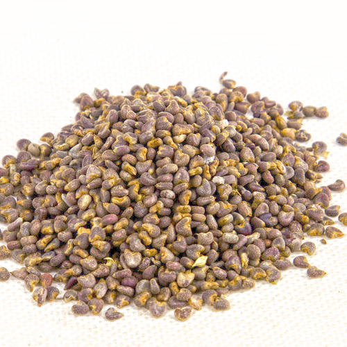 Dong Kui Zi (Mallow seeds) as TCM ingredient