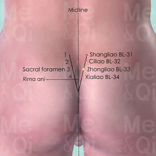 Zhongliao BL-33 - Skin view - Acupuncture point on Bladder Channel
