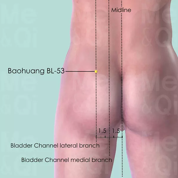Baohuang BL-53 - Skin view - Acupuncture point on Bladder Channel
