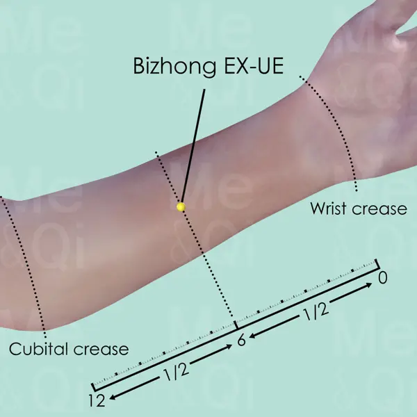 Bizhong EX-UE location