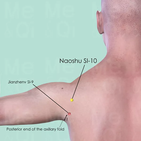 Naoshu SI-10 - Skin view - Acupuncture point on Small Intestine Channel