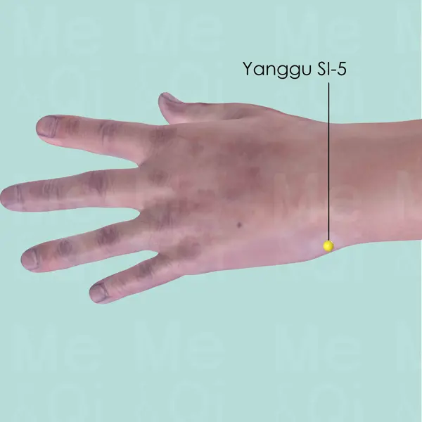 Yanggu SI-5 location