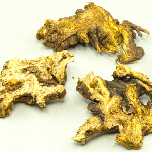 Gao Ben (Chinese lovage roots) as TCM ingredient