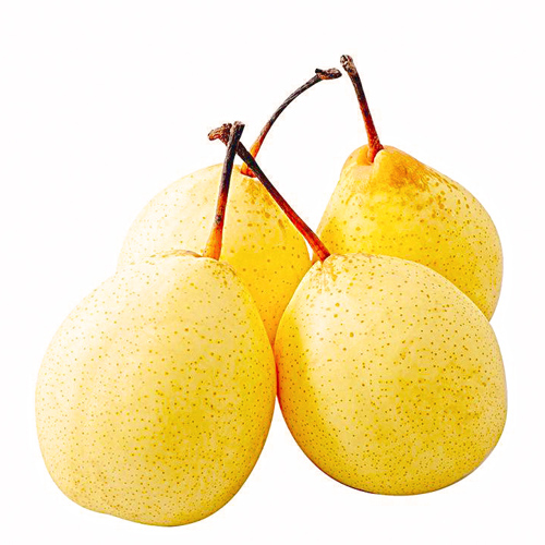 Li Pi (Pear skins) plant