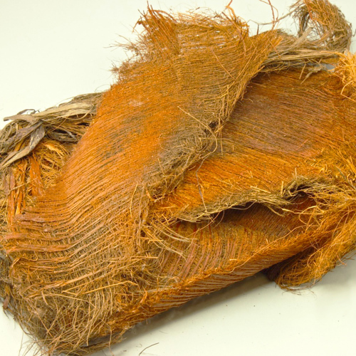 Zong Lu (Windmill palm bark) as TCM ingredient