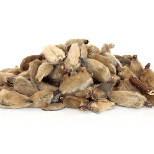 Xin Yi Hua (Biond’s magnolia flowers) as TCM ingredient