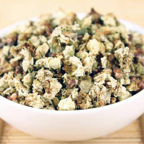 Mei Hua (Plum flowers) as TCM ingredient