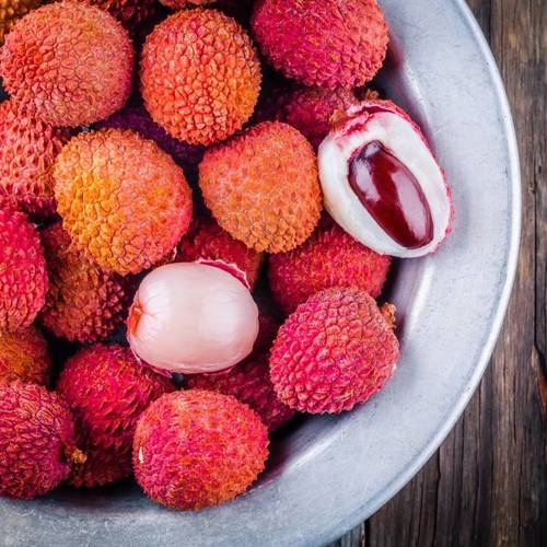 Li Zhi He (Lychee seeds) plant