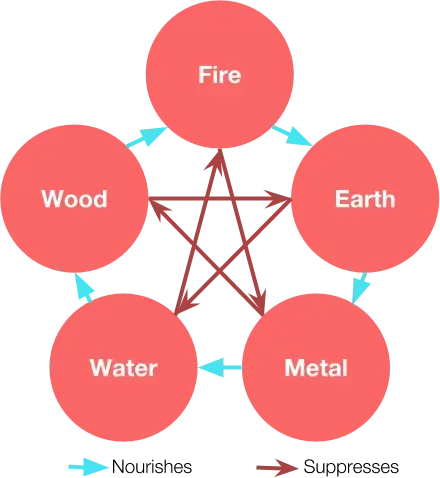 Fives Phases theory according to Traditional Chinese Medicine (TCM)