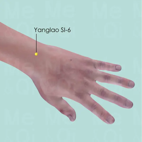 Yanglao SI-6 location