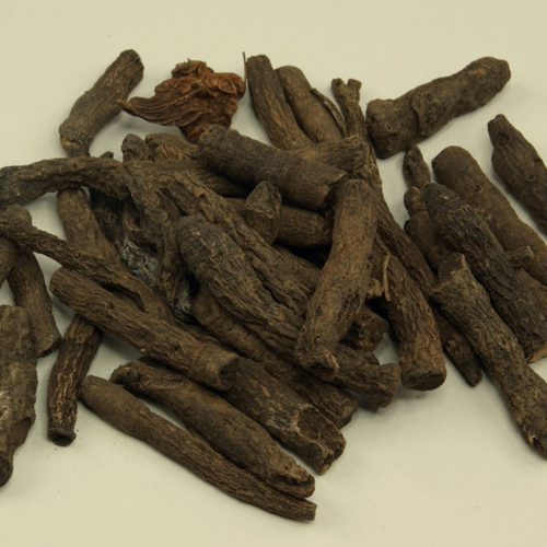 Xian Mao (Curculigo rhizomes) as TCM ingredient