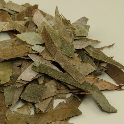 Yin Yang Huo (Epimedium herbs) as TCM ingredient