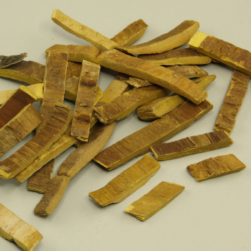 Huang Bo (Phellodendron bark) as TCM ingredient