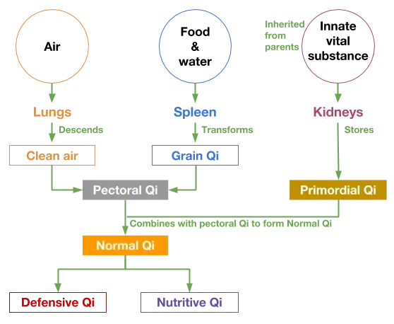 Diagram of how Qi gets generated in Chinese Medicine