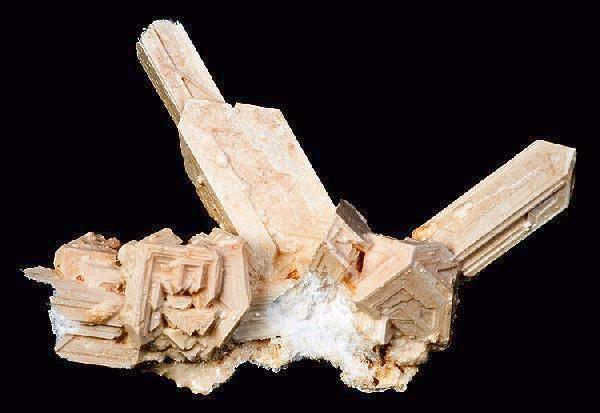 Mang Xiao (Mirabilites) plant