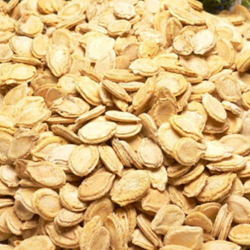 Dong Gua Zi (Wax gourd seeds) plant