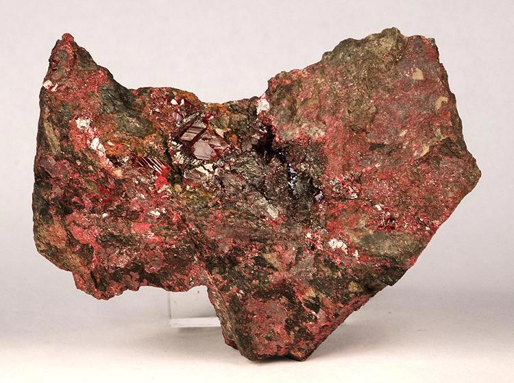 Zhu Sha (Cinnabar) plant