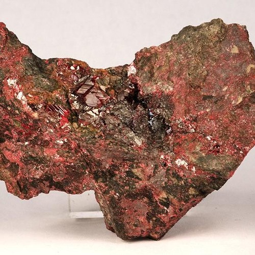 Zhu Sha (Cinnabar) plant