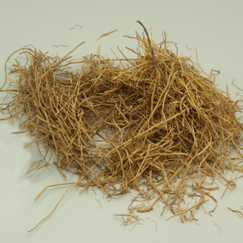 Xi Xin (Wild ginger) as TCM ingredient