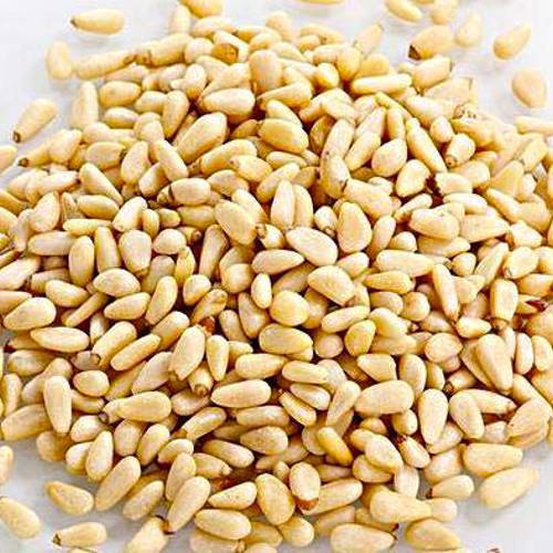 Song Zi Ren (Pine nuts) as TCM ingredient