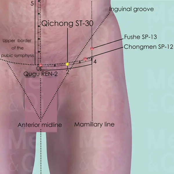 Qichong ST-30 location