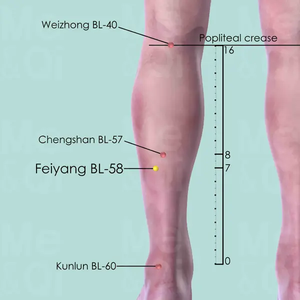 Feiyang BL-58 location