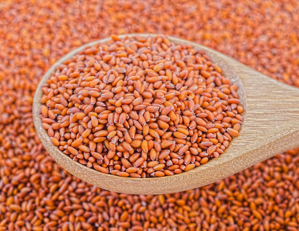 Ting Li Zi (Lepidium seeds) as TCM ingredient