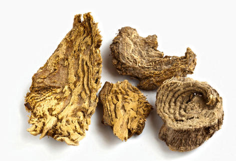 Shang Lu (Poke Roots) as TCM ingredient