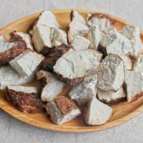 Fu Ling Pi (Poria skin) plant