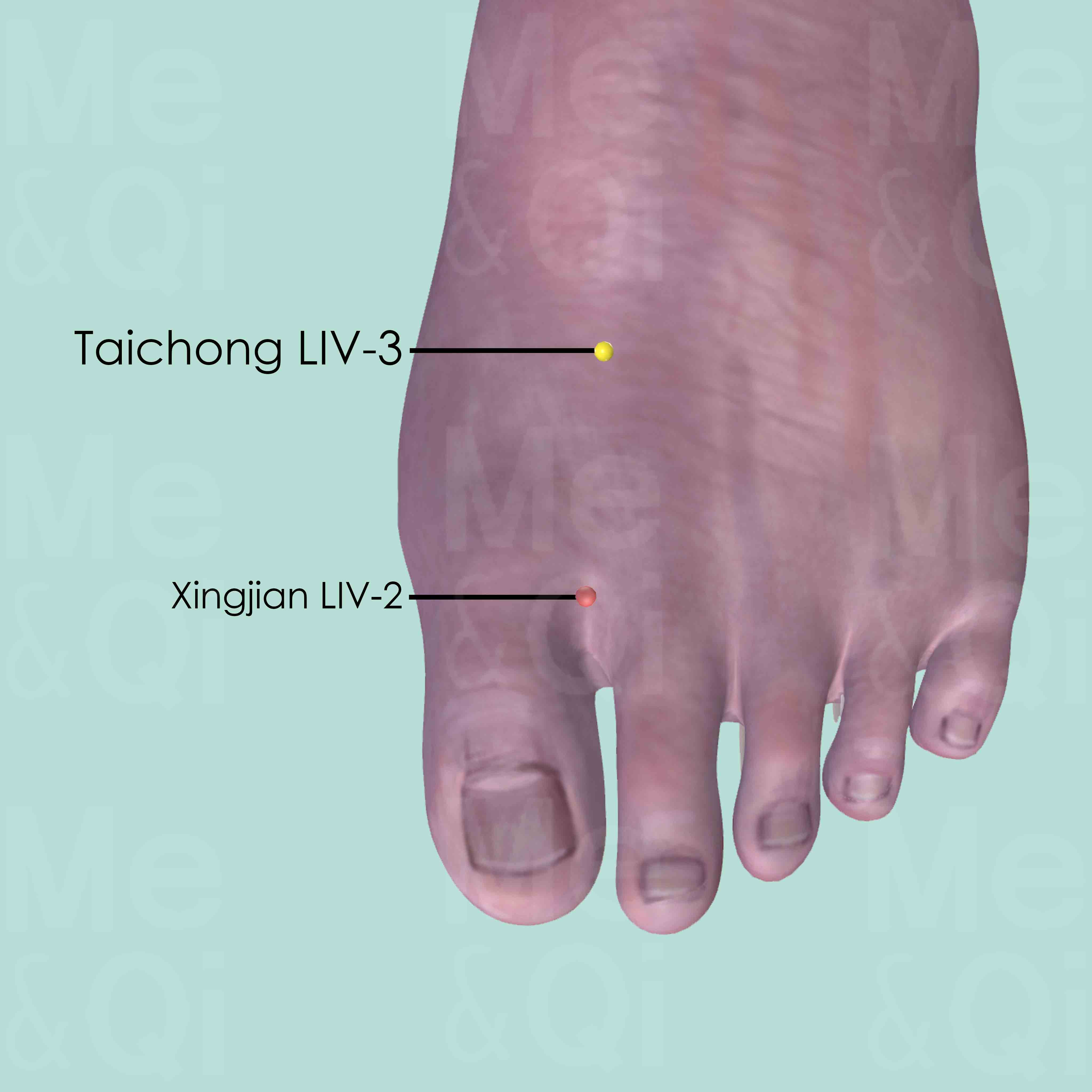Taichong LIV-3