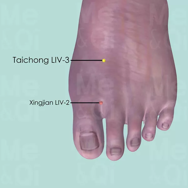 Taichong LIV-3 - Skin view - Acupuncture point on Liver Channel