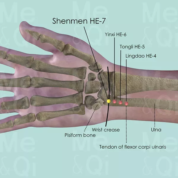 Shenmen HE-7 - Bones view - Acupuncture point on Heart Channel