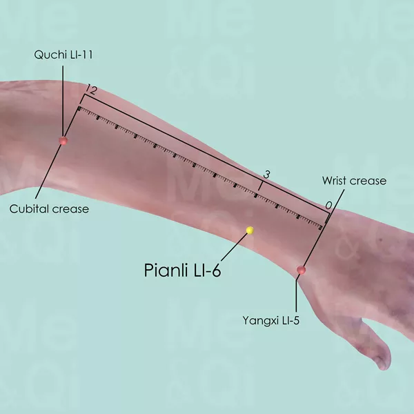 Pianli LI-6 - Skin view - Acupuncture point on Large Intestine Channel