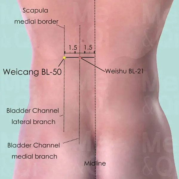 Weicang BL-50 location