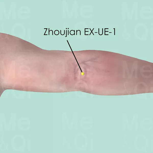 Zhoujian EX-UE-1 - Skin view - Acupuncture point on Extra Points: Upper Extremities (EX-UE)