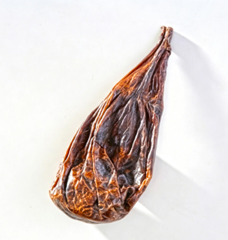 Xiong dan (Bear bile) as TCM ingredient