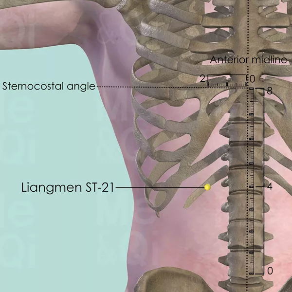 Liangmen ST-21 - Bones view - Acupuncture point on Stomach Channel