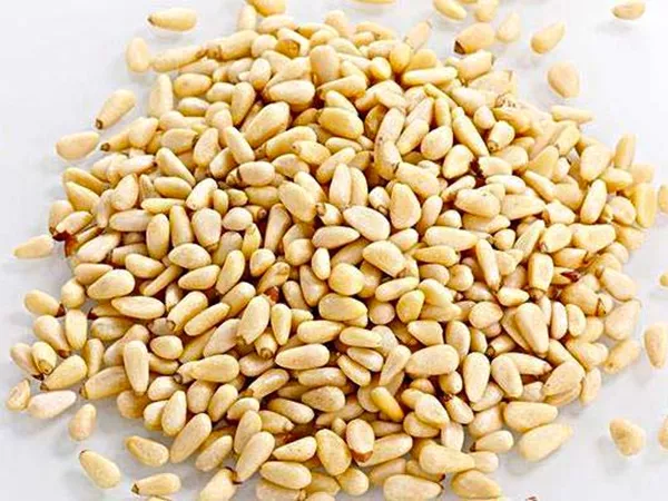 What Pine nut looks like as a TCM ingredient