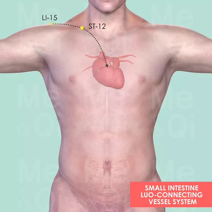 Small Intestine Luo-Connecting Vessel System