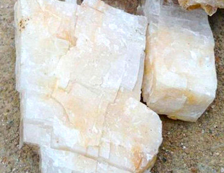 Han Shui Shi (Calcitum) plant