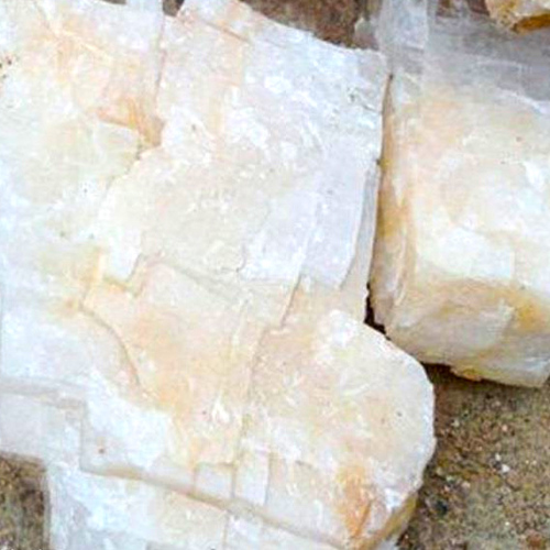 Han Shui Shi (Calcitum) plant