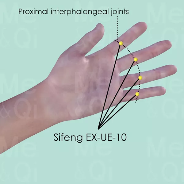 Sifeng EX-UE-10 - Skin view - Acupuncture point on Extra Points: Upper Extremities (EX-UE)
