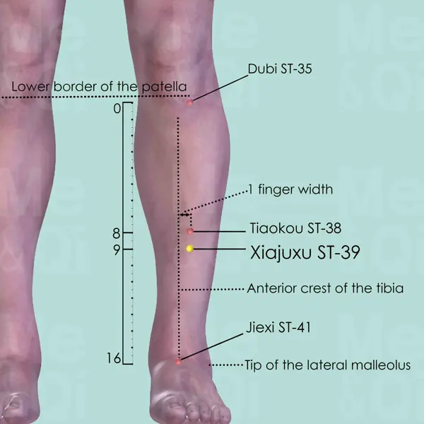 Xiajuxu ST-39 location